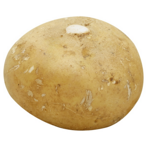 Jicama