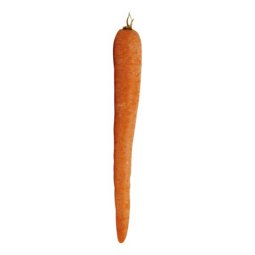 Organic Juicing Carrots