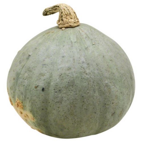 Organic Baby Blue Hubbard Squash