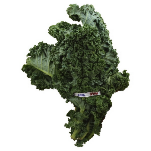 Minnesota Grown Green Kale Bunch