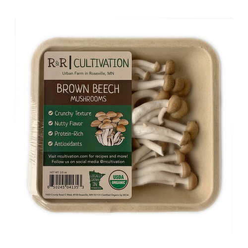 R&R Cultivation Organic Brown Beech Mushrooms