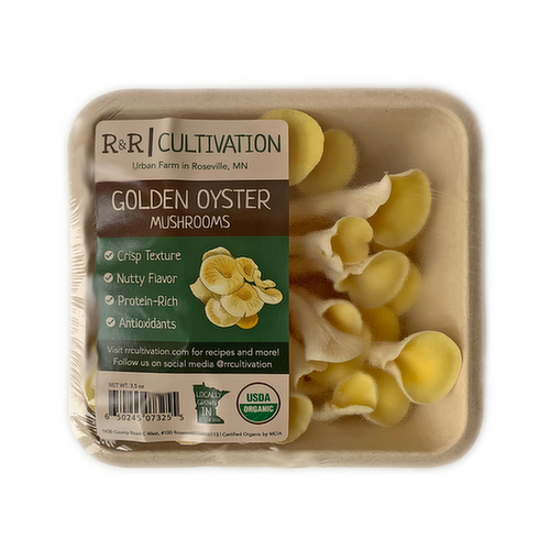 R&R Cultivation Organic Golden Oyster Mushrooms