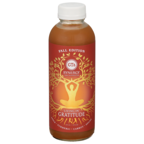 GT's Synergy Seasonal Kombucha Beverage