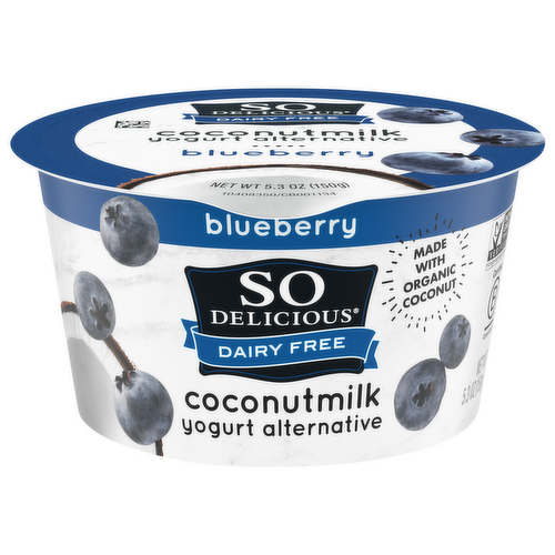 So Delicious Dairy Free Coconut Milk Blueberry Yogurt Alternative