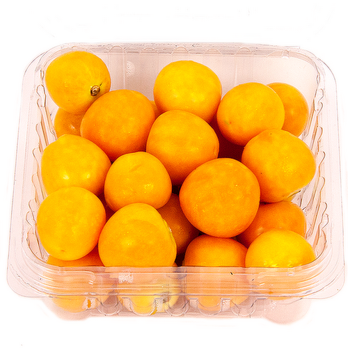 Sun Belle Golden Berries (Cape Gooseberries)