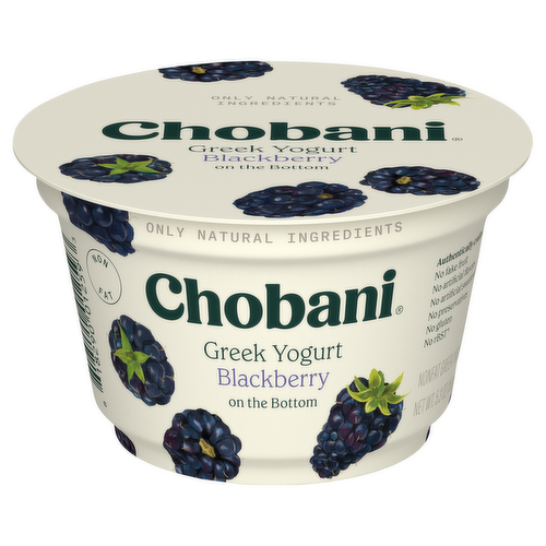 Chobani Blackberry Non-Fat Greek Yogurt - Fruit on the Bottom