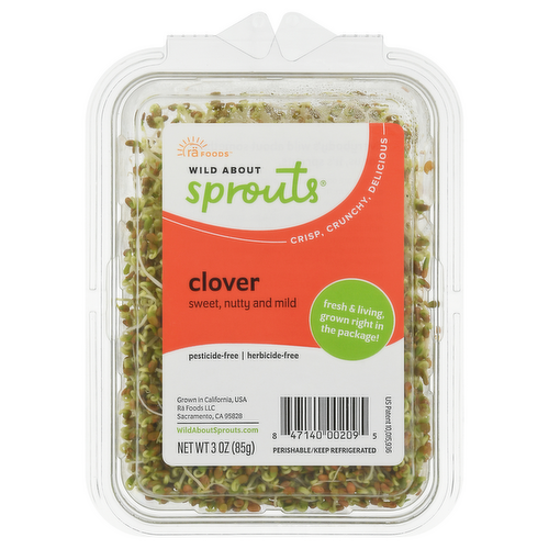 Wild About Sprouts Clover Sprouts