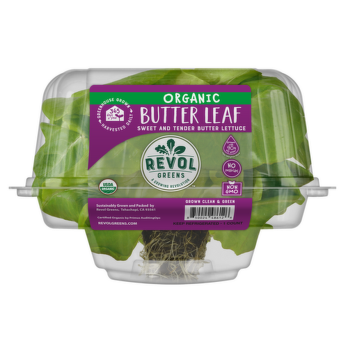 Revol Greens Organic Butter Leaf Lettuce Head