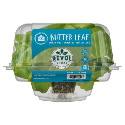 Revol Greens Living Green Butter Lettuce