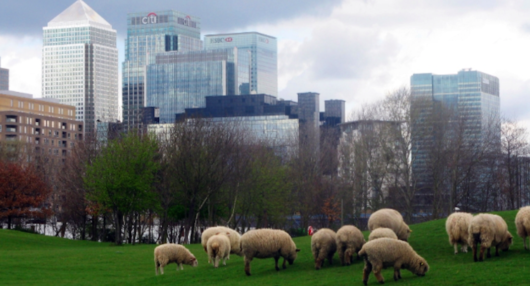 activités ferme urbaine 