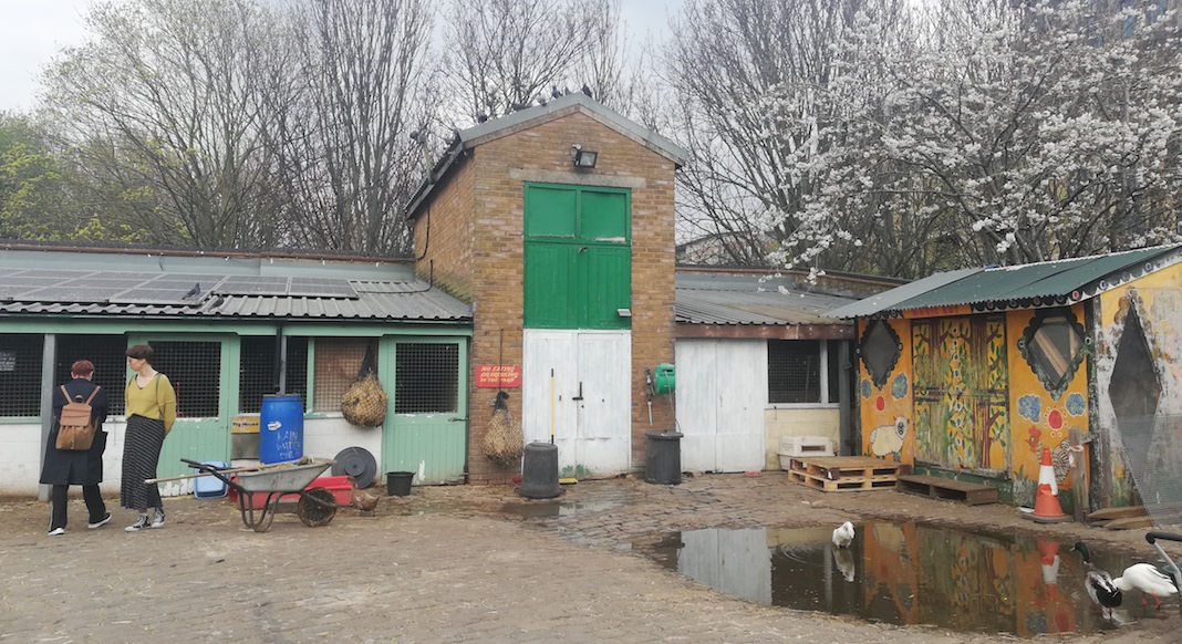 hackney city farm