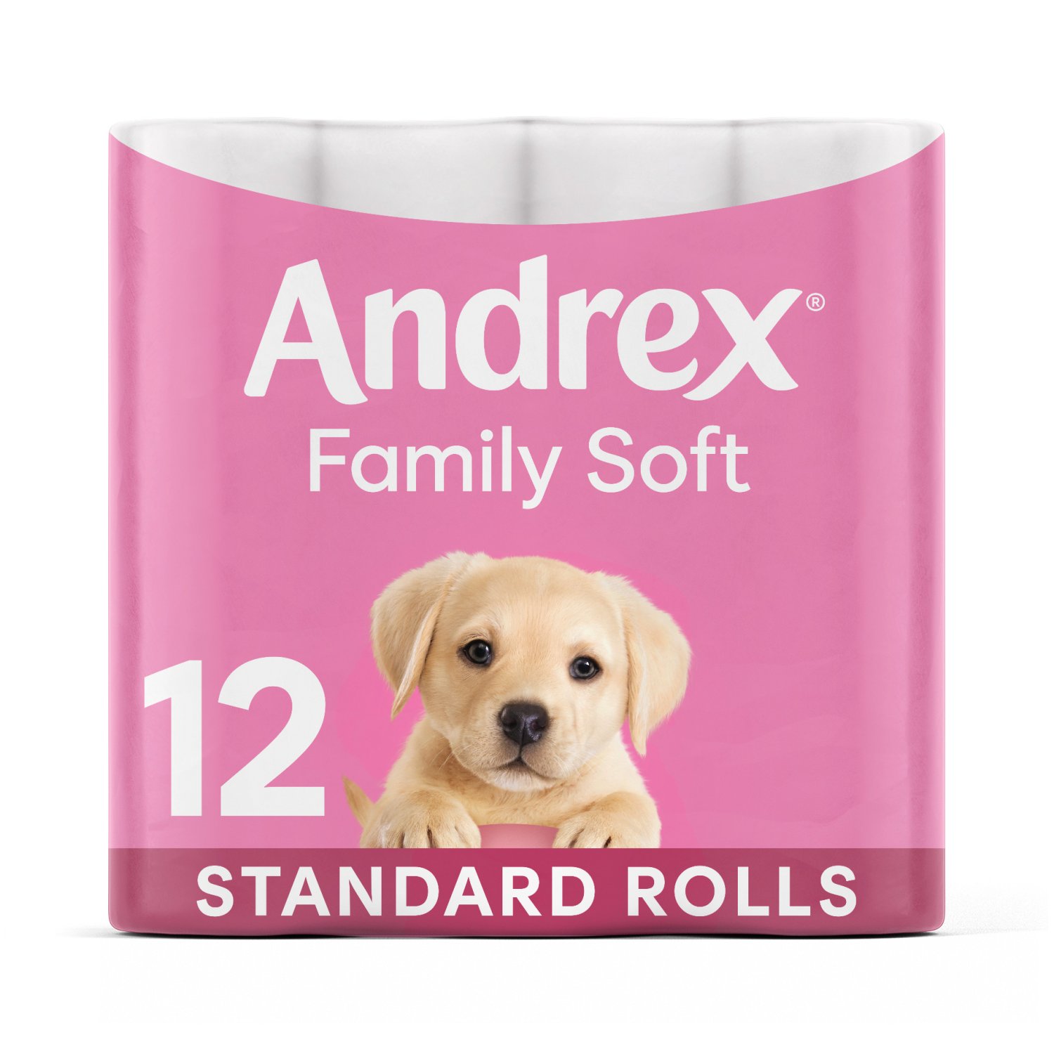 Andrex Family Soft Toilet Tissue (12 Roll)