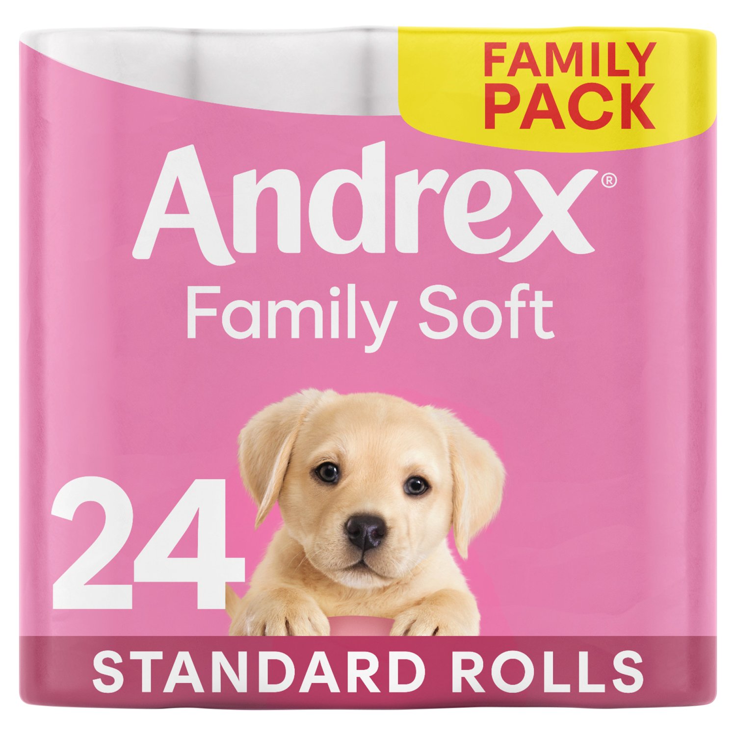 Andrex Gentle Clean Toilet Tissue (24 Roll)