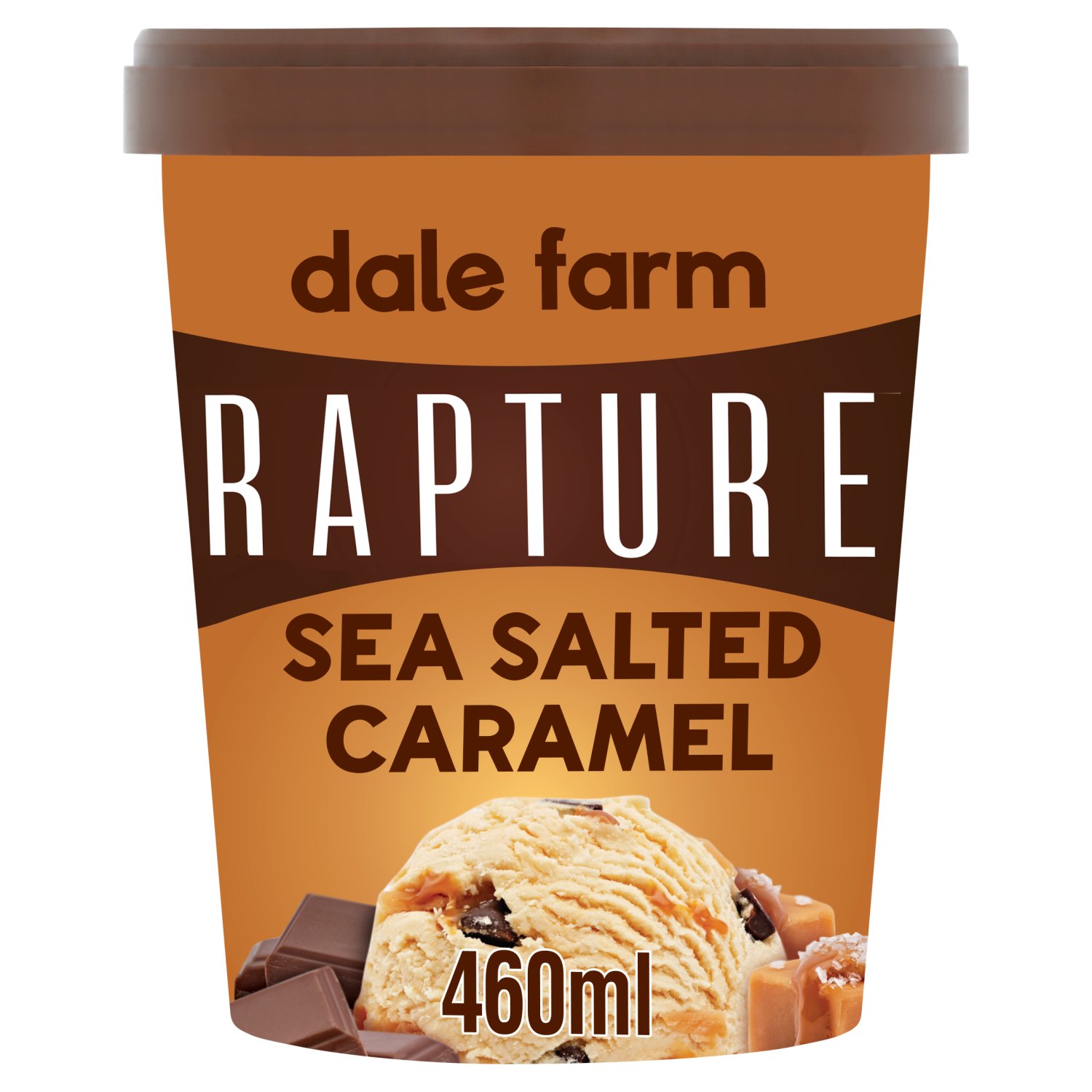 Dale Farm Rapture Sea Salted Caramel Tub (460 ml)