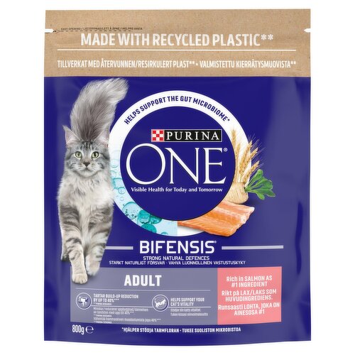 Purina One Salmon & Wholegrain Adult Cat Food (800 g)