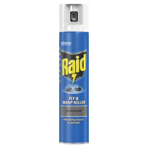 Raid Fly & Wasp Killer (300 ml)