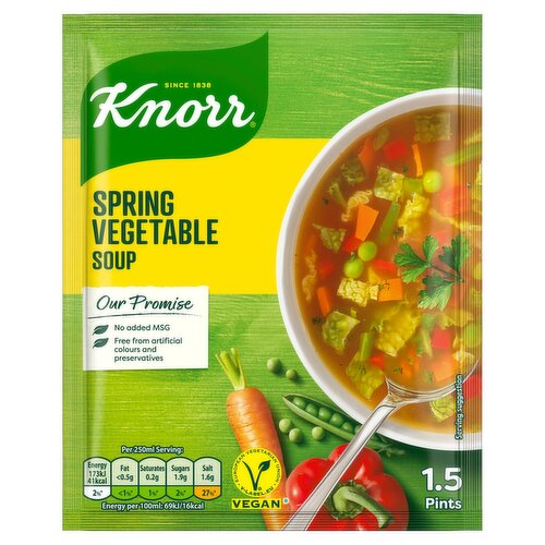 Knorr Florida Spring Vegetable Packet Soup (45 g) Storefront EN