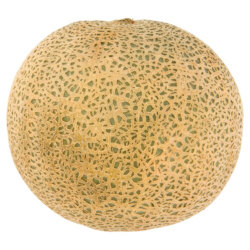 SuperValu Cantaloupe Melon (1 Piece)