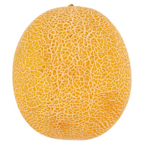 SuperValu Galia Melon (1 Piece)