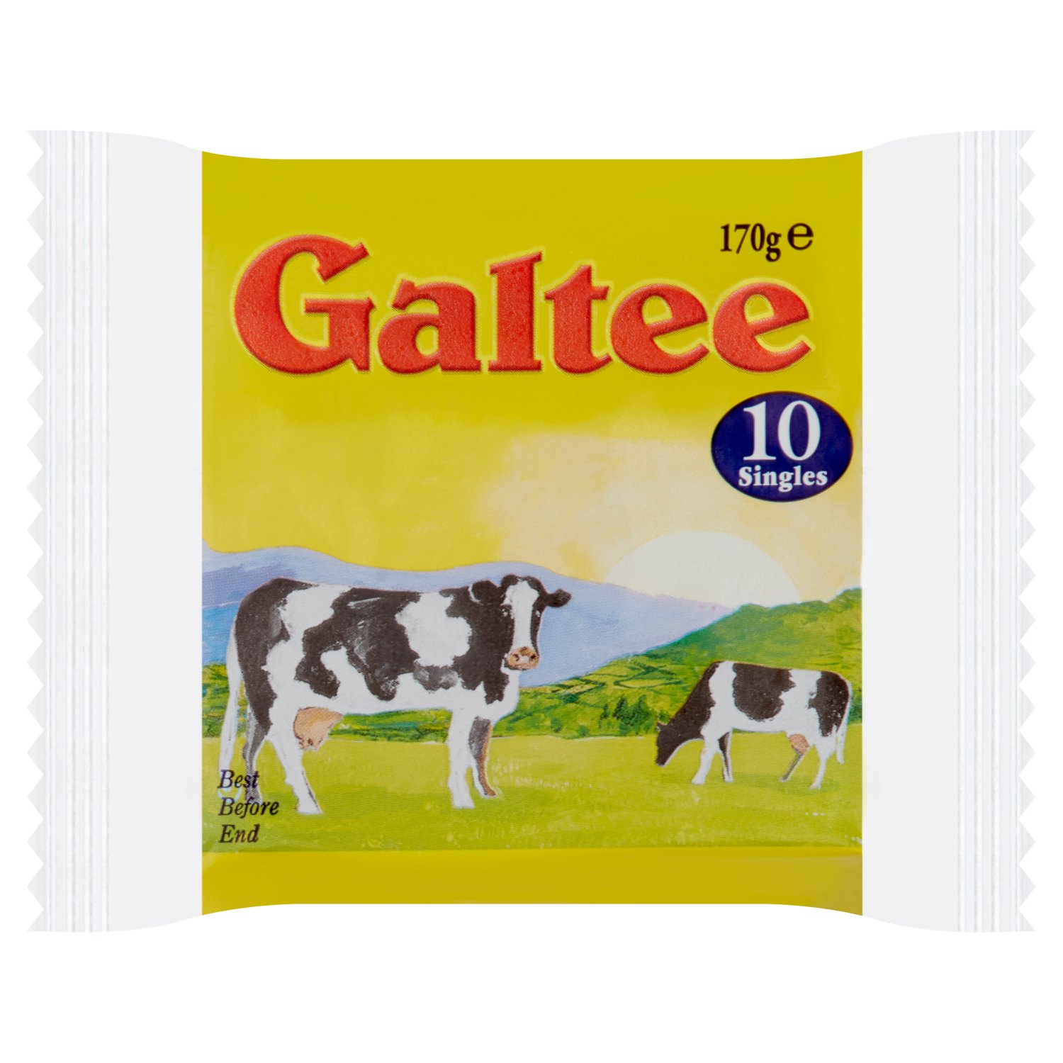 Galtee Cheese Singles 10 Pack (170 g)