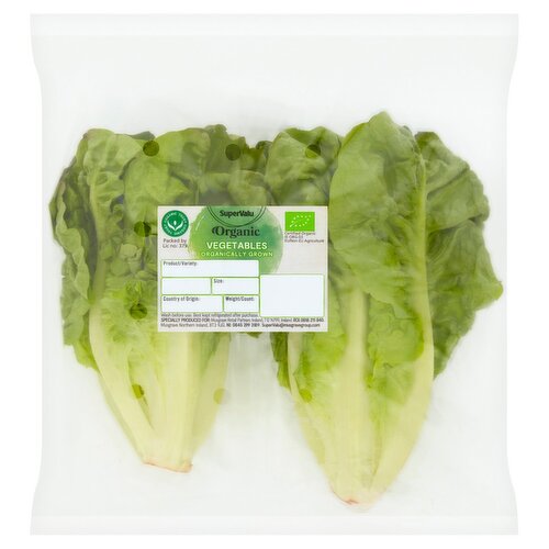 SuperValu Organic Baby Gem Lettuce (1 Piece)