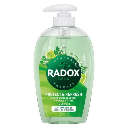 Radox Protect and Refresh Antibacterial Handwash (250 ml)