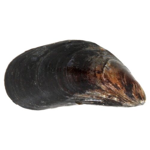 Loose Mussels (1 kg)