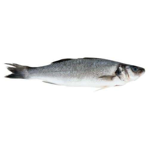 Whole Sea Bass Fish (1 kg)