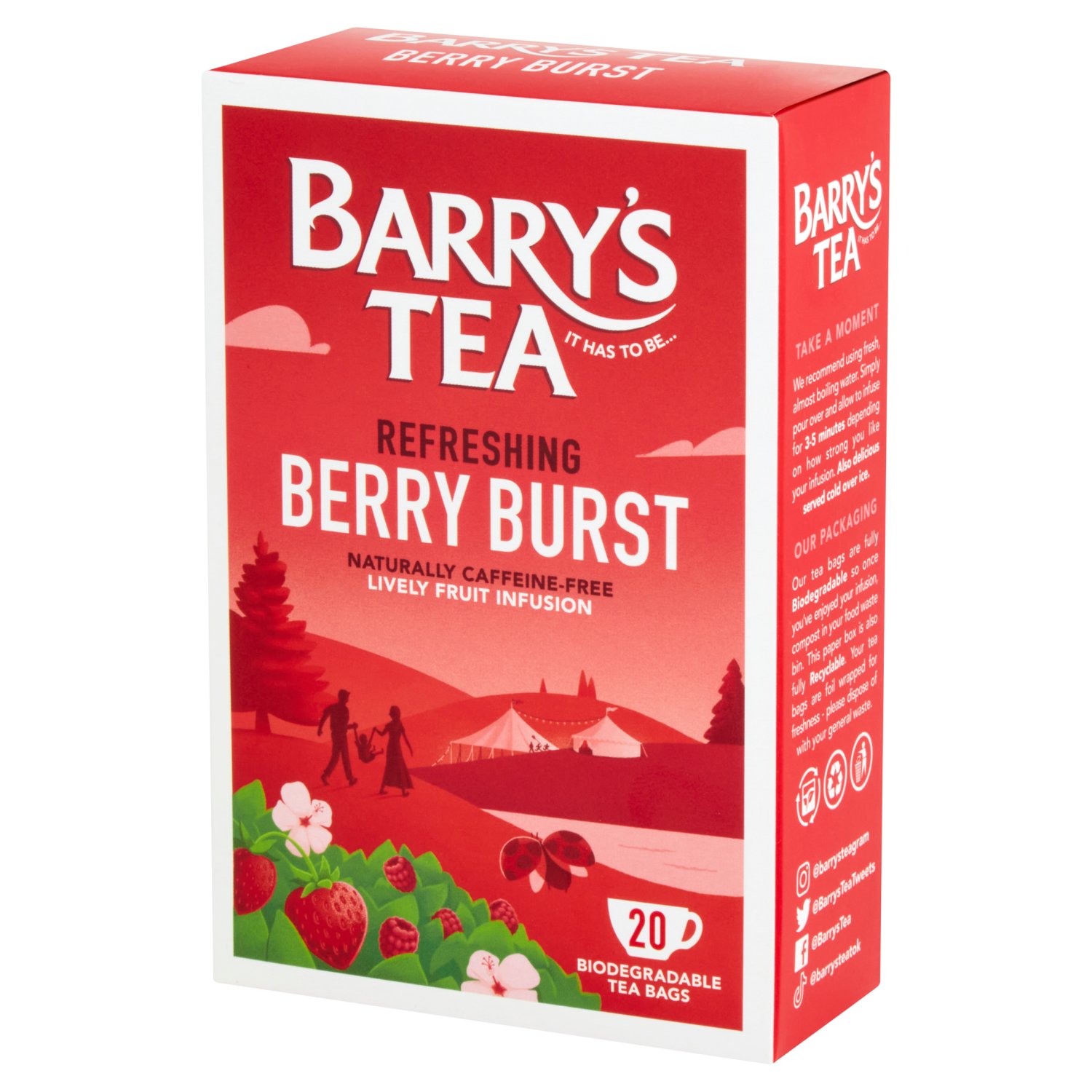 Barry's Berry Burst Tea 20 Pack (50 g)