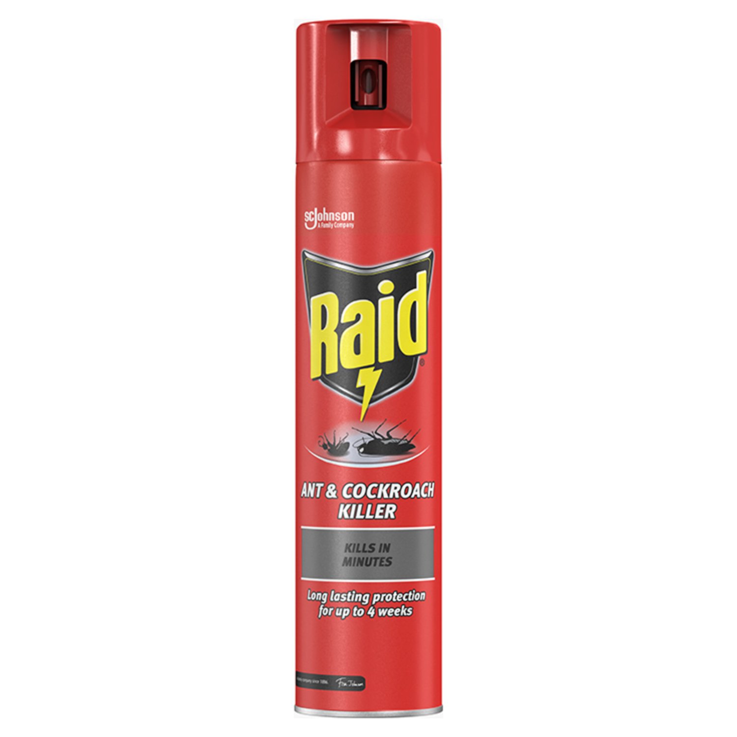 Raid Ant & Cockroach Killer (300 ml)