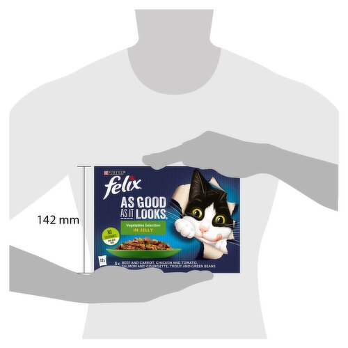 Lot de 10 tampons Scratch Scratch double face Cat Cat film de