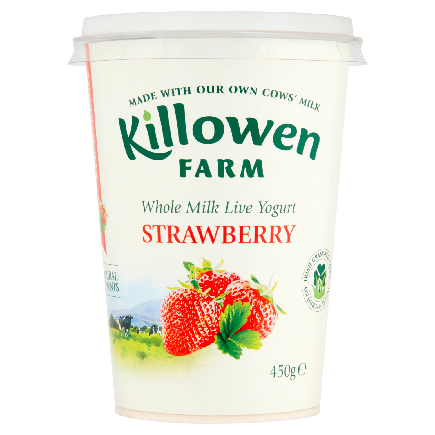 Killowen Farm Strawberry Yogurt (475 g)
