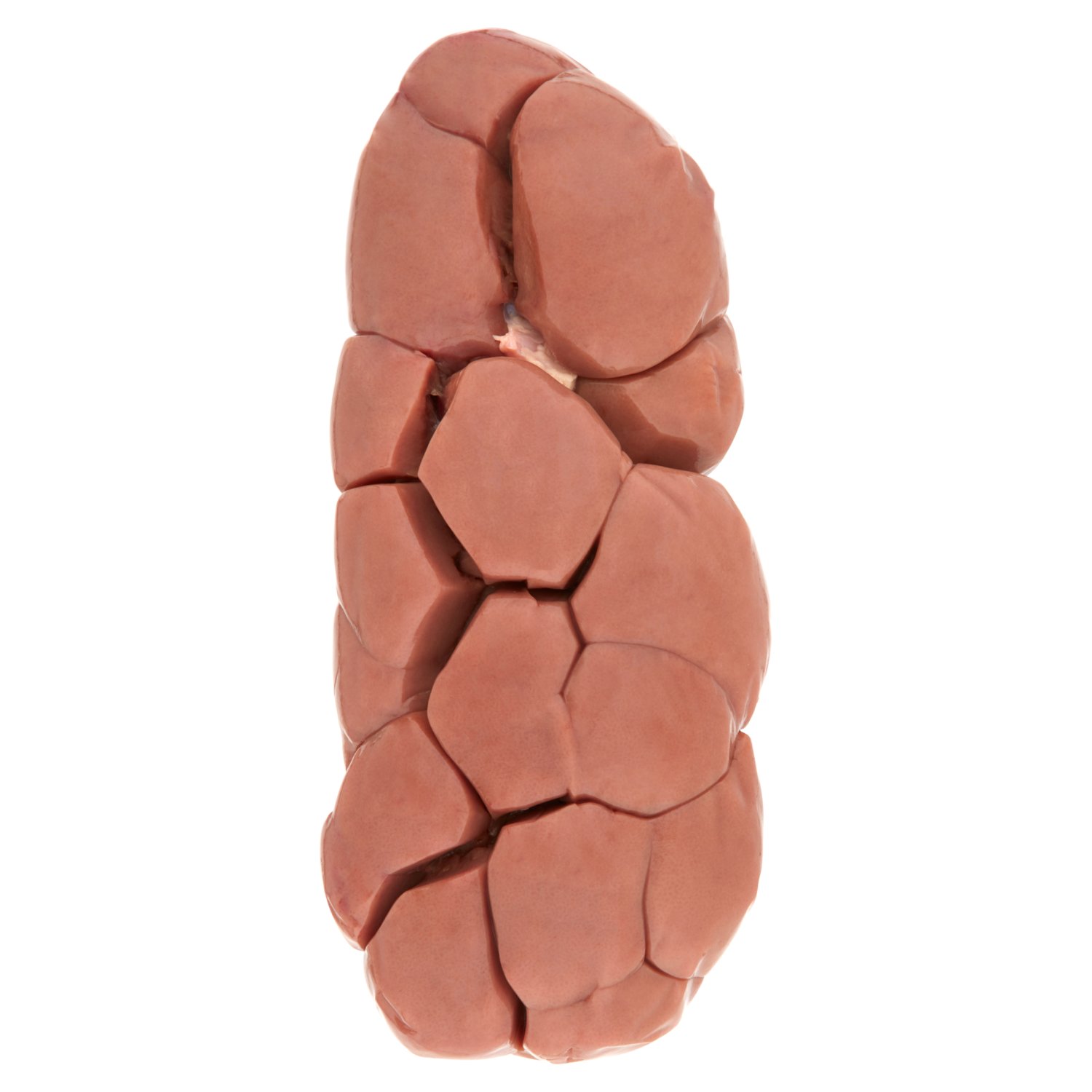 Beef Kidney (1 kg)