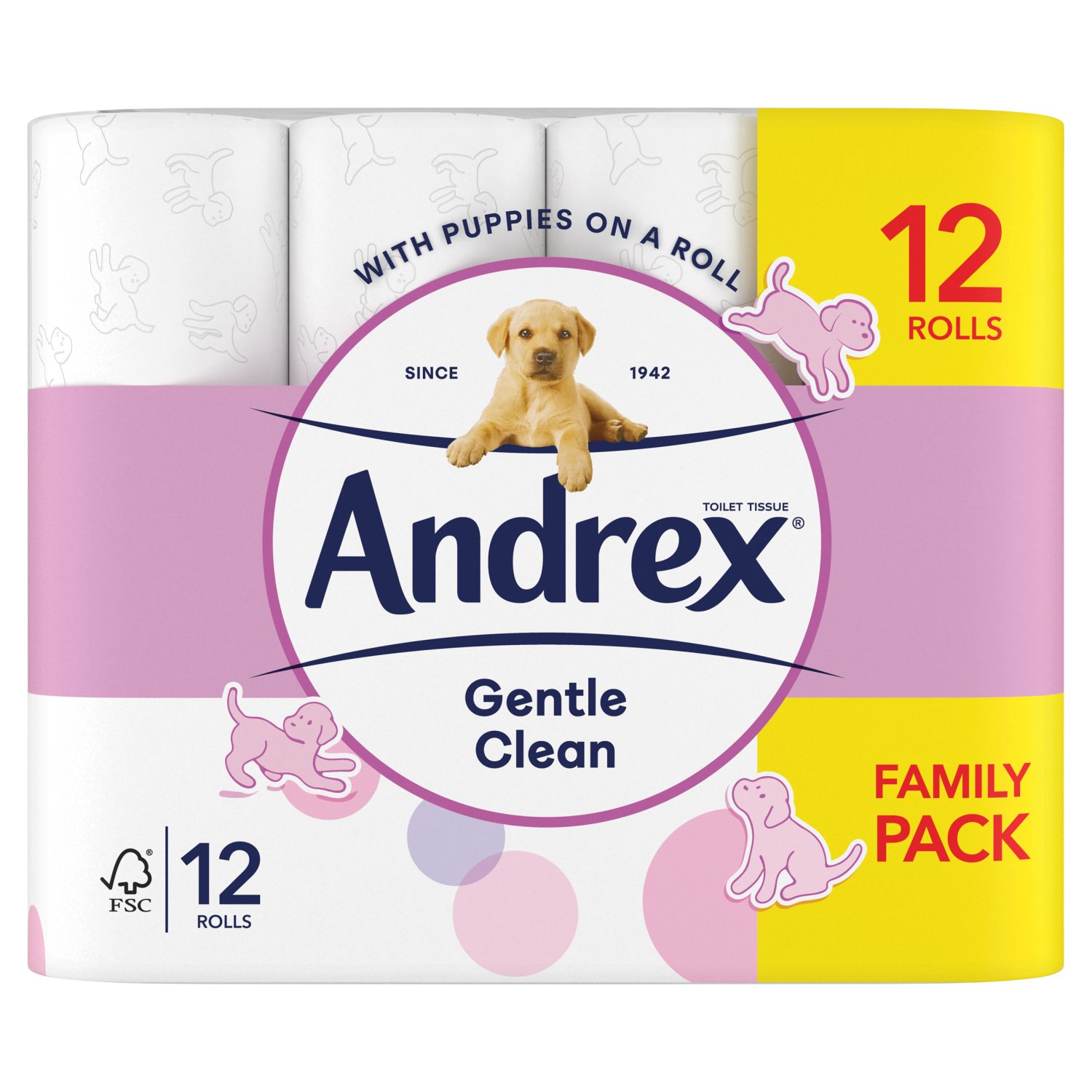 "Andrex® Gentle Clean Toilet Tissue is specifically designed to clean you and your family with a touch of softness. Plus, each toilet roll is uniquely Andrex®, with the loveable Andrex® puppy embossed on every sheet to confidently care for your family. Use Andrex® Toilet Tissue and Andrex® Washlets™ Moist Toilet Tissue for all day freshness†.

Every pack of Andrex® Gentle Clean Toilet Tissue is made using 30% recycled plastic and is still 100% recyclable. Visit our website to find out more about our 2030 sustainability mission and how we are leaving a greener pawprint.

 †vs. using Dry Bath Tissue alone."
