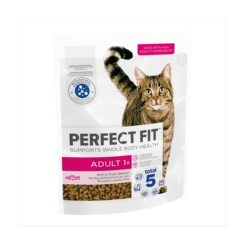 Dry Cat Food Storefront EN
