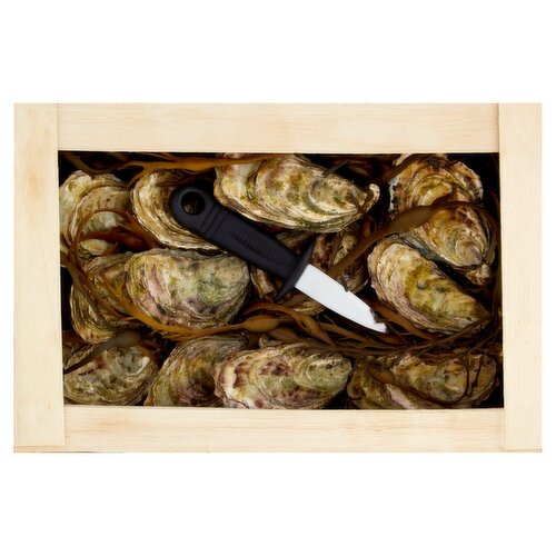 Oyster Gift Box (1 kg)