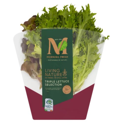 Living Triple Selection Lettuce (1 Piece)