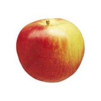 Organic Honeycrisp Apples, 1ct, 5 oz