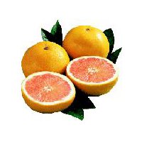 Fresh Grapefruit Star Red, 1 each