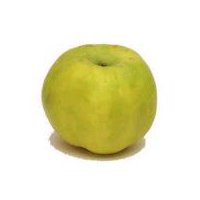 Quince Apple, 1 ct, 1 each