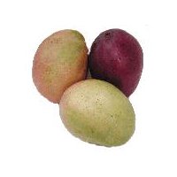 Mangoes, 1 each