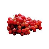 Red Globe Grapes, 1 Pound