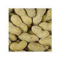 Jumbo Raw Peanuts, 1 pound