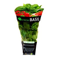 Fresh Basil in Bag, 3 oz