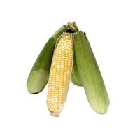 Bi-Color Corn, 4 ct, 4 each