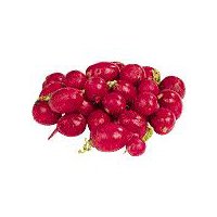 Red Radishes, 1 Bunch, 1 each