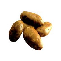 Idaho Baking Potatoes (Per Pound) - Elm City Market