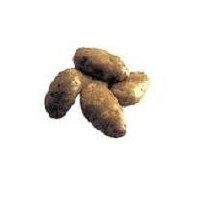 Russet Potato Bin, 10lb, 10 pound