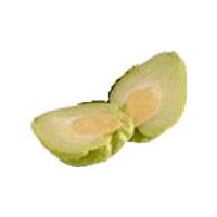 White Chayote, 1 ct, 1 each