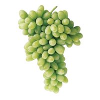 Fresh Grapes, Organic, White/Green, Seedless